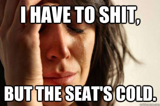 I have to shit, but the seat's cold.  First World Problems