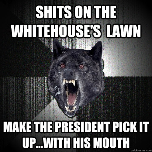shits on the whitehouse's  lawn make the president pick it up...with his mouth  Insanity Wolf