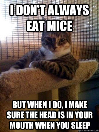 I don't always eat mice but when i do, i make sure the head is in your mouth when you sleep  The Most Interesting Cat in the World