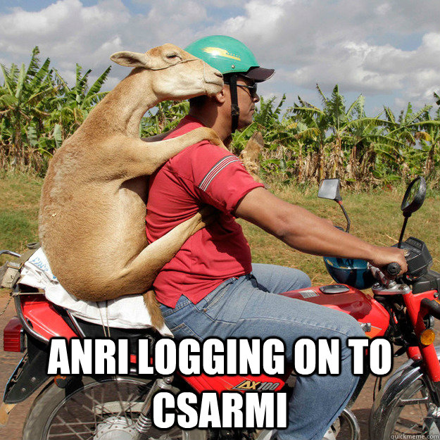Anri logging on to csarmi  Companion Goat