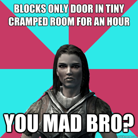 blocks only door in tiny cramped room for an hour you mad bro?  Lydia Skyrim Meme