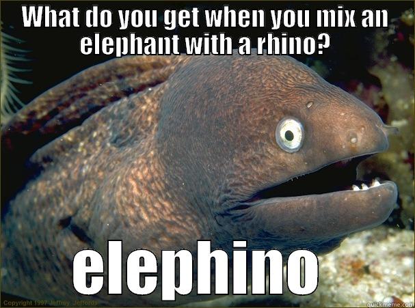 WHAT DO YOU GET WHEN YOU MIX AN ELEPHANT WITH A RHINO? ELEPHINO  Bad Joke Eel