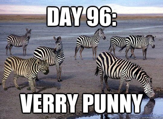 Day 96: verry punny - Day 96: verry punny  Zebra Lion