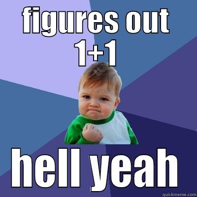 FIGURES OUT 1+1 HELL YEAH Success Kid