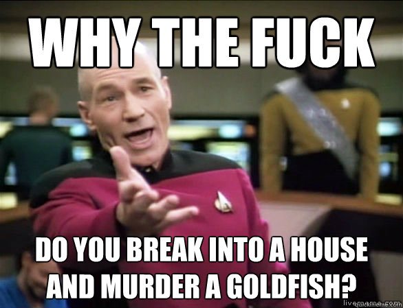 Why the fuck do you break into a house and murder a goldfish? - Why the fuck do you break into a house and murder a goldfish?  Misc