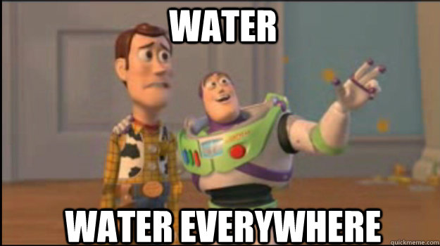 Water Water Everywhere  Buzz and Woody