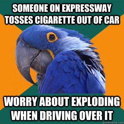 Someone on expressway tosses cigarette out of car Worry about exploding when driving over it - Someone on expressway tosses cigarette out of car Worry about exploding when driving over it  Paranoid Parrot