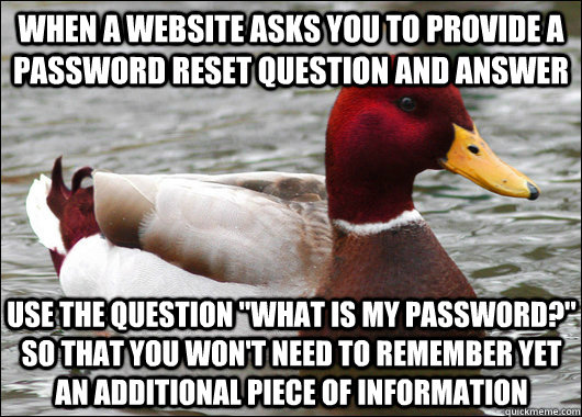 when a website asks you to provide a password reset question and answer use the question 