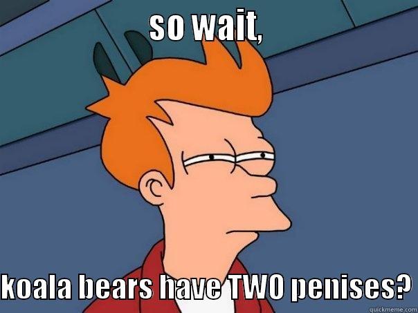                     SO WAIT,                      KOALA BEARS HAVE TWO PENISES? Futurama Fry