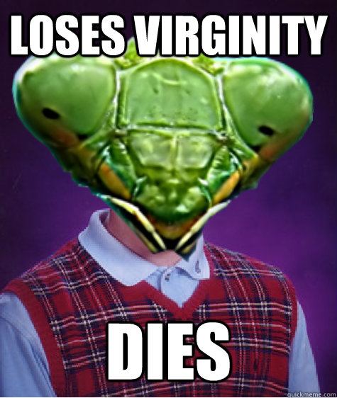 Loses Virginity dies  Bad Luck Praying Mantis
