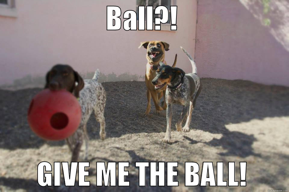 GIVE ME BALL GUYS. quickmeme