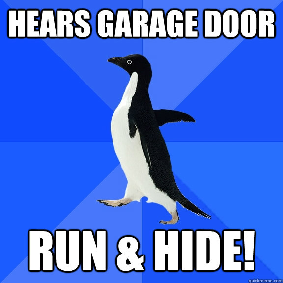 hears garage door run & hide!  Socially Awkward Penguin