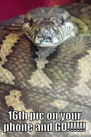  16TH PIC ON YOUR PHONE AND GO!!!!!! Misc
