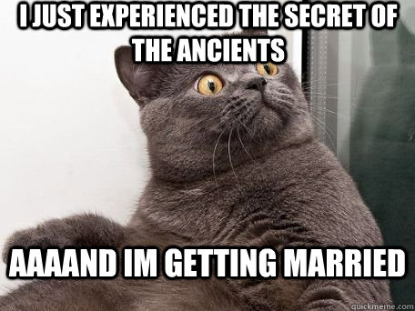 i just experienced the secret of the ancients aaaAnd im getting married  conspiracy cat