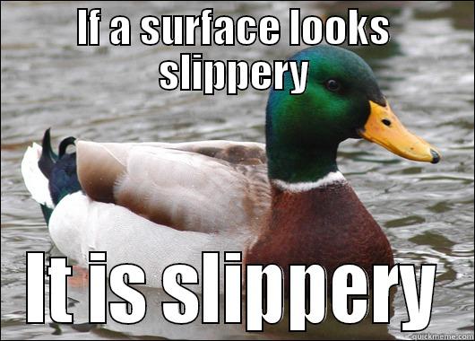 IF A SURFACE LOOKS SLIPPERY IT IS SLIPPERY Actual Advice Mallard