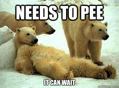 Needs to pee It can wait  