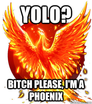 YOLO? BITCH PLEASE, I'M A PHOENIX - YOLO? BITCH PLEASE, I'M A PHOENIX  Phoenix