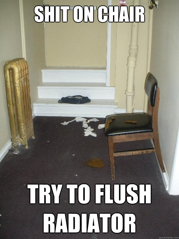 Shit on chair try to flush radiator  Shit Happens