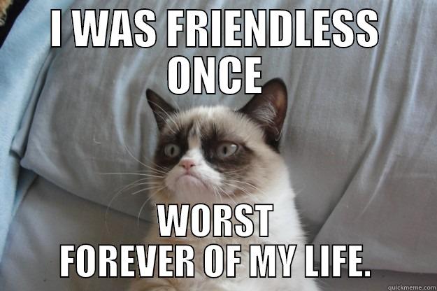 This pretty much is me: - I WAS FRIENDLESS ONCE WORST FOREVER OF MY LIFE. Grumpy Cat
