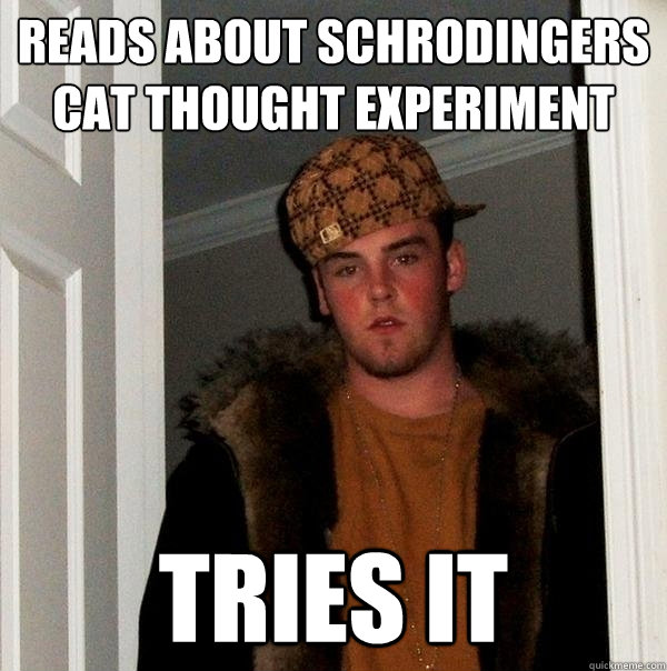 reads about schrodingers cat thought experiment tries it  Scumbag Steve