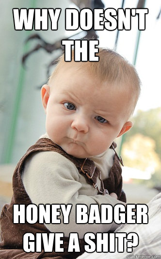Why doesn't the  Honey Badger give a shit?  skeptical baby