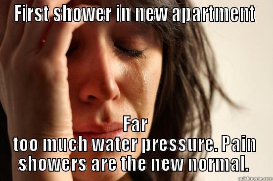 FIRST SHOWER IN NEW APARTMENT FAR TOO MUCH WATER PRESSURE. PAIN SHOWERS ARE THE NEW NORMAL.  First World Problems