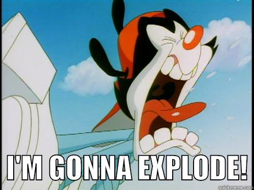 Gonna Explode Wakko -    I'M GONNA EXPLODE! Misc