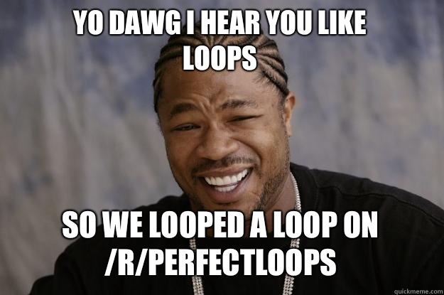 YO DAWG I HEAR YOU LIKE 
LOOPS SO WE LOOPED A LOOP ON /r/PERFECTLOOPS  Xzibit meme