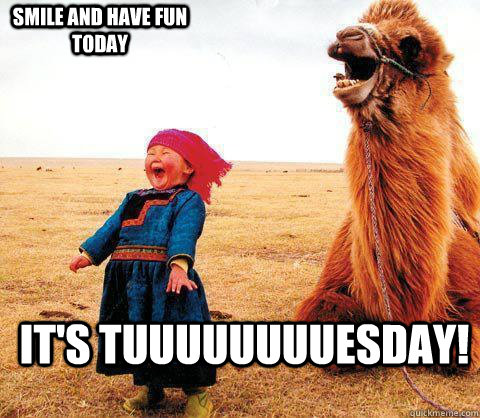 It's tuuuuuuuuesday! Smile and Have Fun today - It's tuuuuuuuuesday! Smile and Have Fun today  Its Tuesday