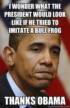 I wonder what the president would look like if he tried to imitate a bull frog Thanks obama  Everything Is Barack Obamas Fault