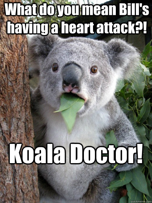 What do you mean Bill's having a heart attack?! Koala Doctor!  - What do you mean Bill's having a heart attack?! Koala Doctor!   astonished koala