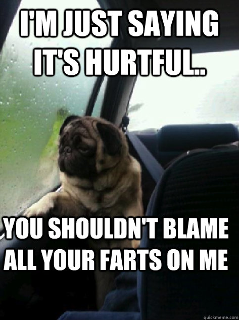 I'm just saying it's hurtful.. you shouldn't blame all your farts on me - I'm just saying it's hurtful.. you shouldn't blame all your farts on me  Introspective Pug