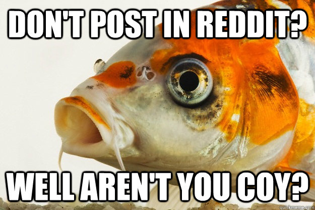 Don't post in reddit? well aren't you coy? - Don't post in reddit? well aren't you coy?  Coy fish