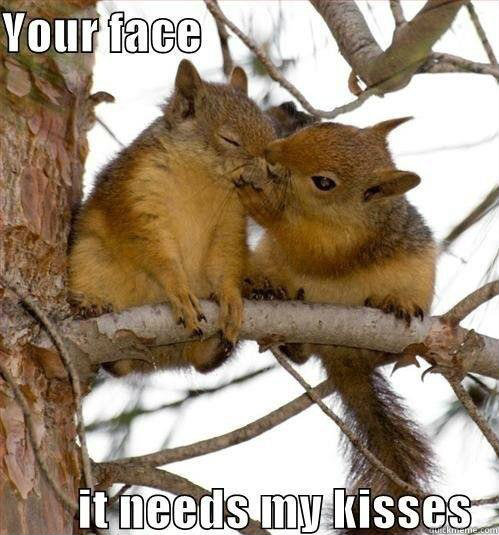   Your face it needs my kisses