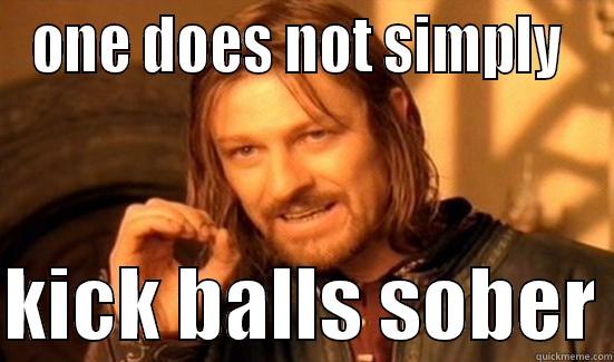 ONE DOES NOT SIMPLY   KICK BALLS SOBER Boromir