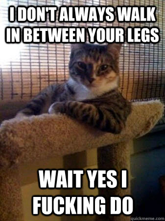 I don't always walk in between your legs wait yes I fucking do  The Most Interesting Cat in the World