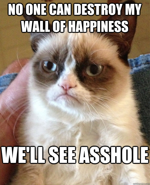 No one can destroy my wall of happiness  we'll see asshole  Grumpy Cat