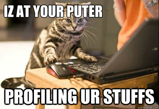 Iz at your puter profiling ur stuffs  Angry Computer Cat