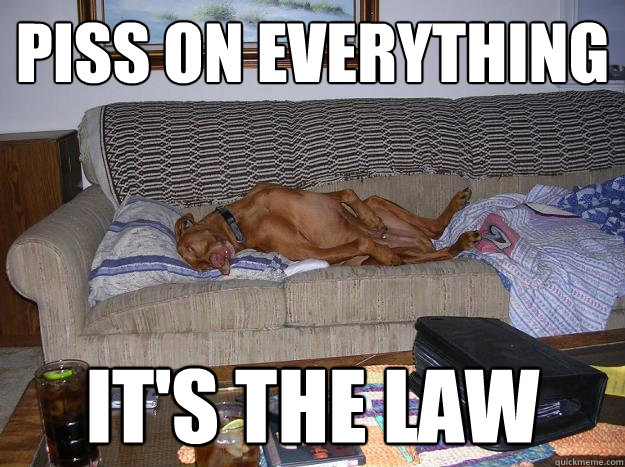 piss on everything it's the law  Doing It Doggy Style