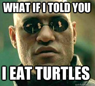 what if i told you i eat turtles  Matrix Morpheus