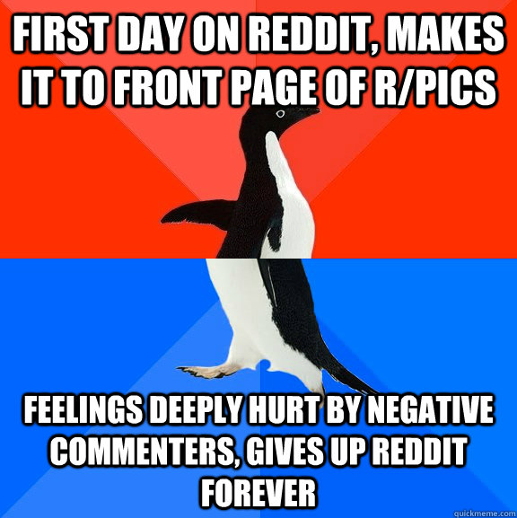 First day on Reddit, makes it to front page of r/pics Feelings deeply hurt by negative commenters, gives up reddit forever  Socially Awesome Awkward Penguin