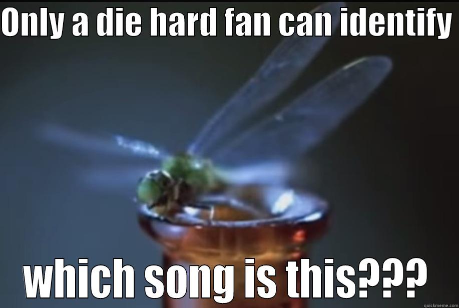 lp trolls - ONLY A DIE HARD FAN CAN IDENTIFY  WHICH SONG IS THIS??? Misc