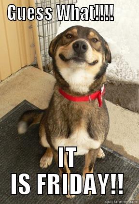 GUESS WHAT!!!!      IT IS FRIDAY!! Good Dog Greg