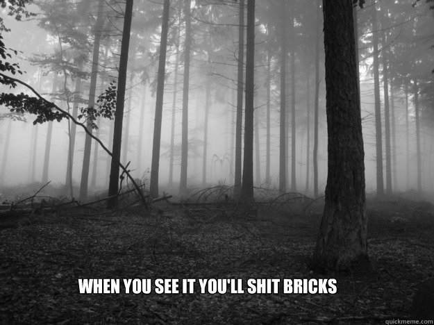 When you see it you'll shit bricks  Slenderman