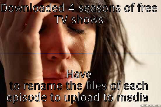 Pirate problems - DOWNLOADED 4 SEASONS OF FREE TV SHOWS HAVE TO RENAME THE FILES OF EACH EPISODE TO UPLOAD TO MEDIA SERVER First World Problems