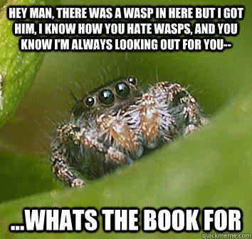 Hey man, there was a wasp in here but I got him, I know how you hate wasps, and you know I'm always looking out for you-- ...whats the book for - Hey man, there was a wasp in here but I got him, I know how you hate wasps, and you know I'm always looking out for you-- ...whats the book for  Misunderstood Spider