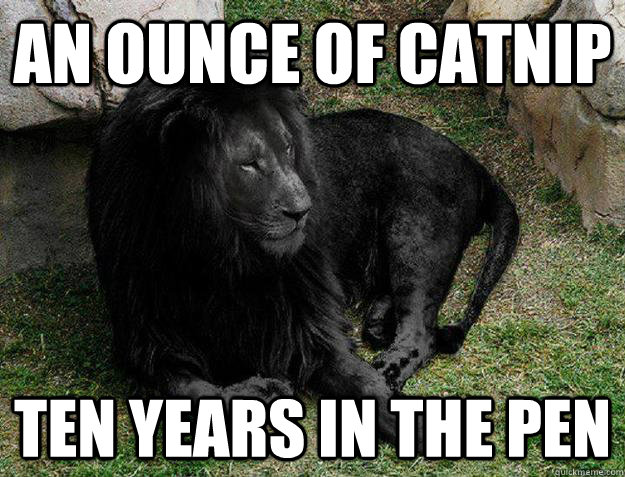 an ounce of catnip ten years in the pen  Black Lion Problems