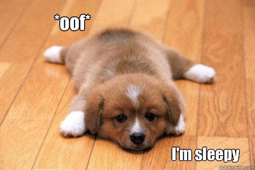 *oof* I'm sleepy  tired puppy