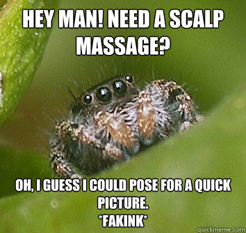 Hey man! Need a scalp massage? Oh, I guess I could pose for a quick picture. 
*Fakink* - Hey man! Need a scalp massage? Oh, I guess I could pose for a quick picture. 
*Fakink*  Misunderstood Spider