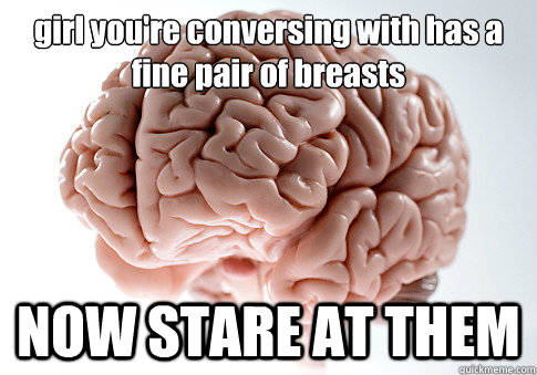 girl you're conversing with has a fine pair of breasts NOW STARE AT THEM  - girl you're conversing with has a fine pair of breasts NOW STARE AT THEM   Scumbag Brain